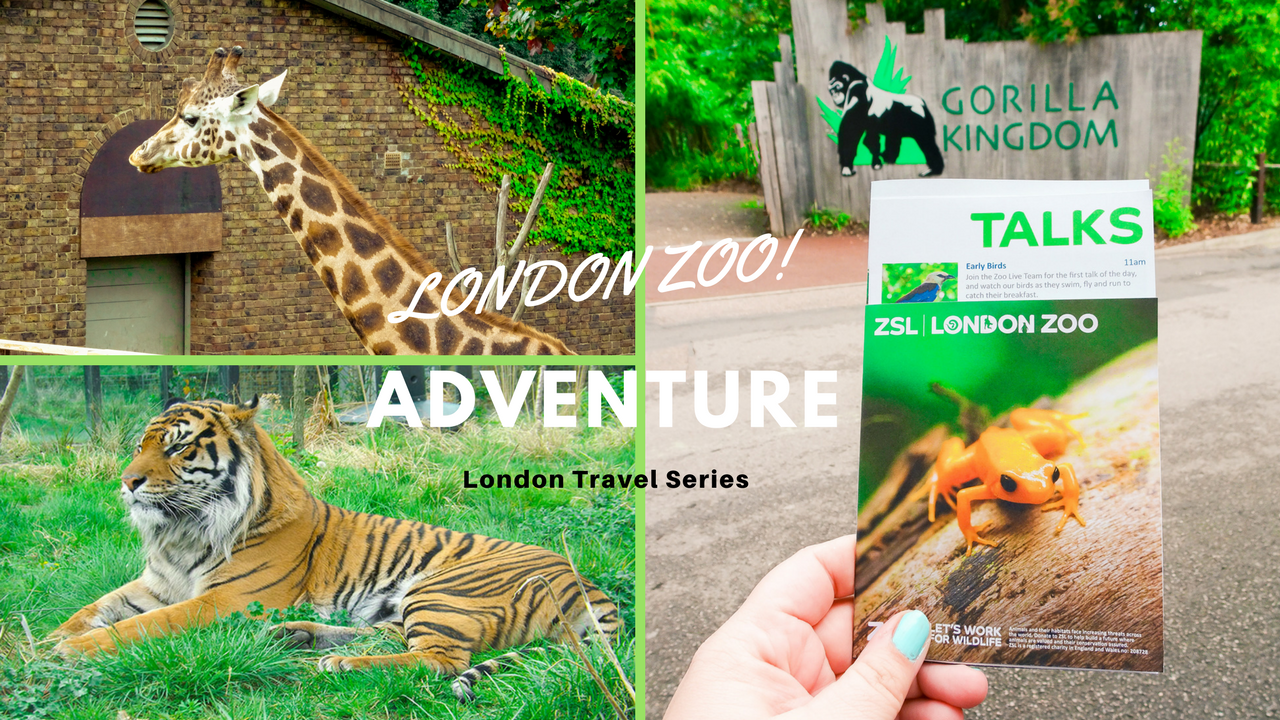 My London zoo adventure - One Epic Road Trip