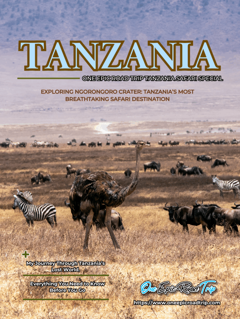 Exploring Ngorongoro Crater - One Epic Road Trip Blog