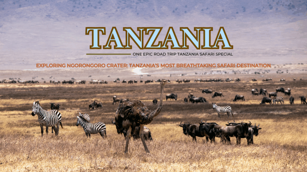 Exploring Ngorongoro Crater Tanzania’s Most Breathtaking Safari Destination - one epic road trip blog