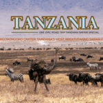 Exploring Ngorongoro Crater Tanzania’s Most Breathtaking Safari Destination - one epic road trip blog
