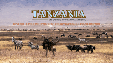 Exploring Ngorongoro Crater Tanzania’s Most Breathtaking Safari Destination - one epic road trip blog