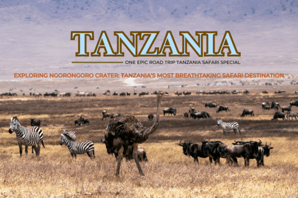 Exploring Ngorongoro Crater Tanzania’s Most Breathtaking Safari Destination - one epic road trip blog