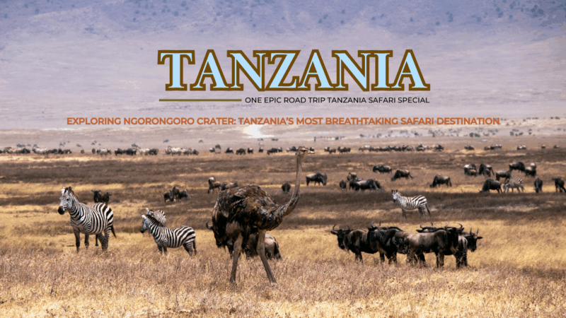 Exploring Ngorongoro Crater Tanzania’s Most Breathtaking Safari Destination - one epic road trip blog