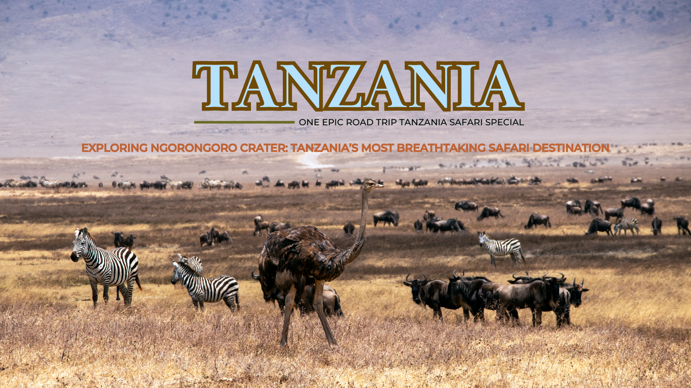 Exploring Ngorongoro Crater Tanzania’s Most Breathtaking Safari Destination - one epic road trip blog