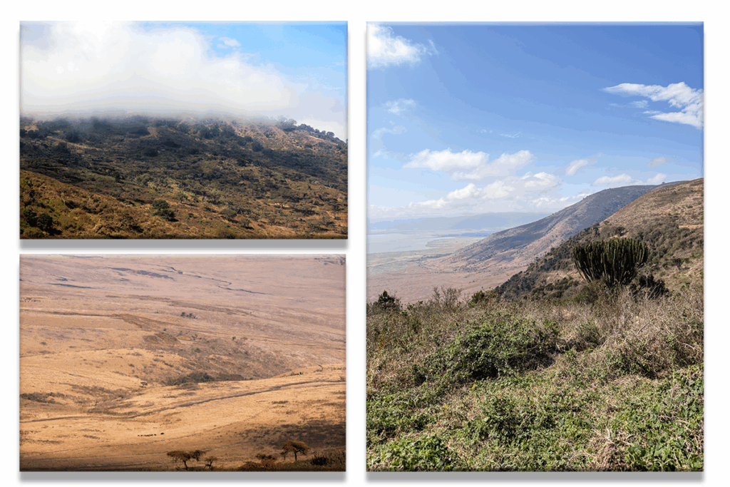 Ngorongoro Crater - oneepicroadtrip.com