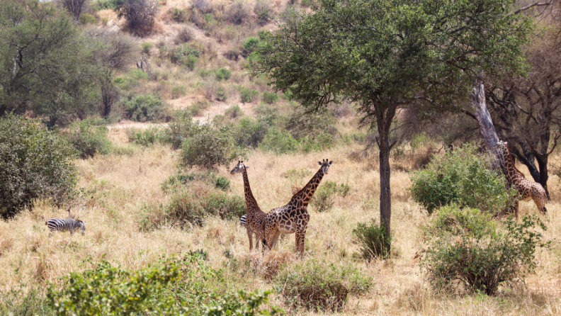 ONE EPIC ROAD TRIP BLOG - TANZANIA